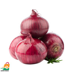 Bawang Besar India