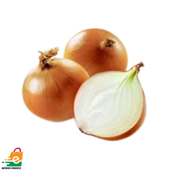 Bawang Hollad China